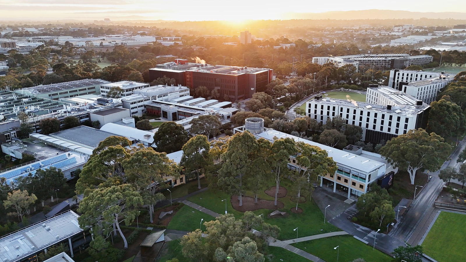An elevated view over buildings, roads and trees toward the low sun.