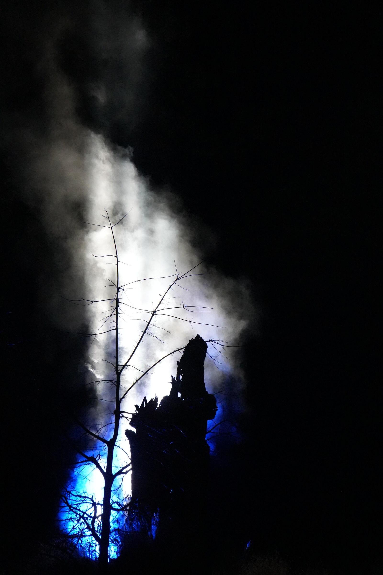A bare tree and dark branching form stand against white mist and blue light at night.