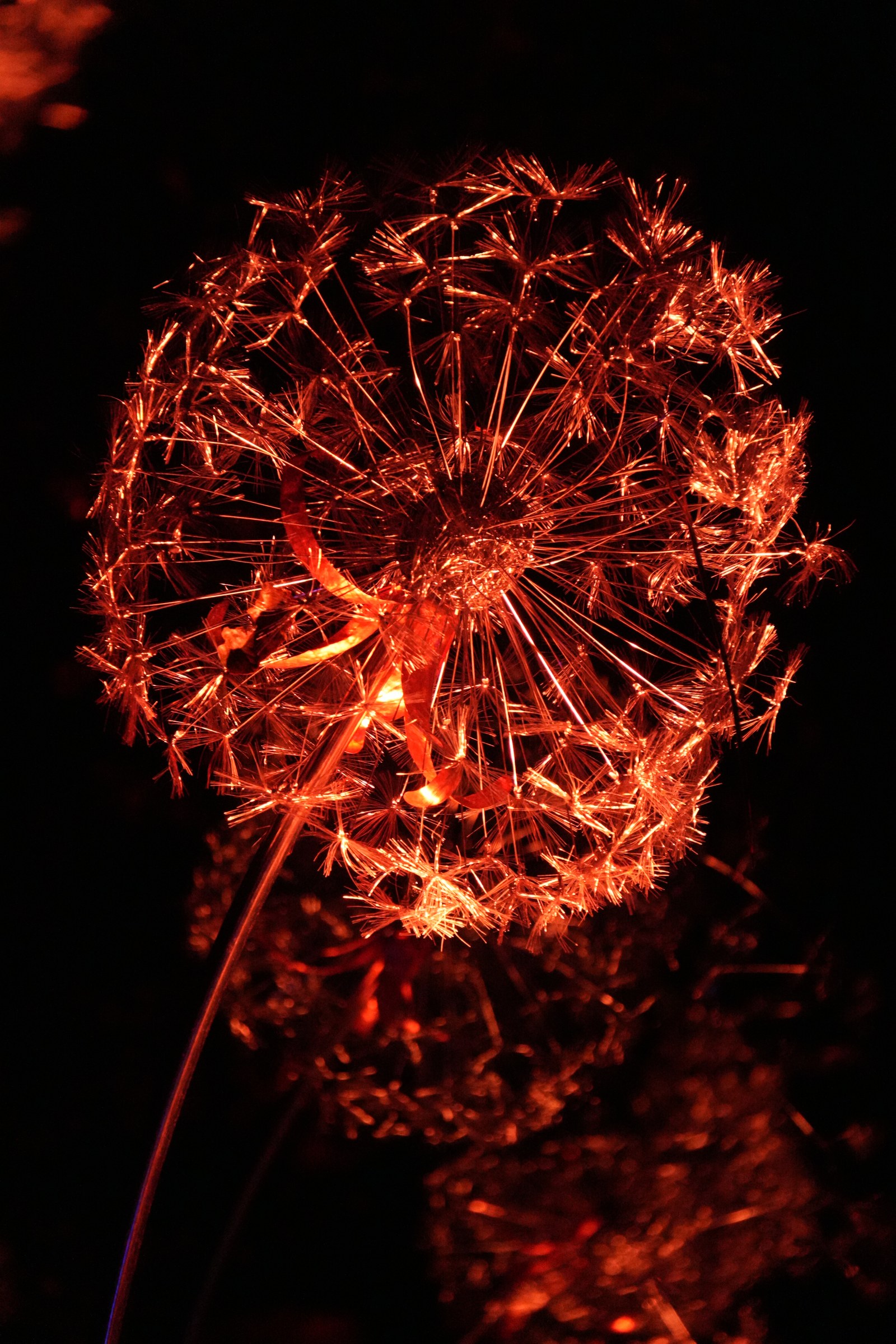 A round, seed-head-shaped light sculpture glows orange-red against the dark.
