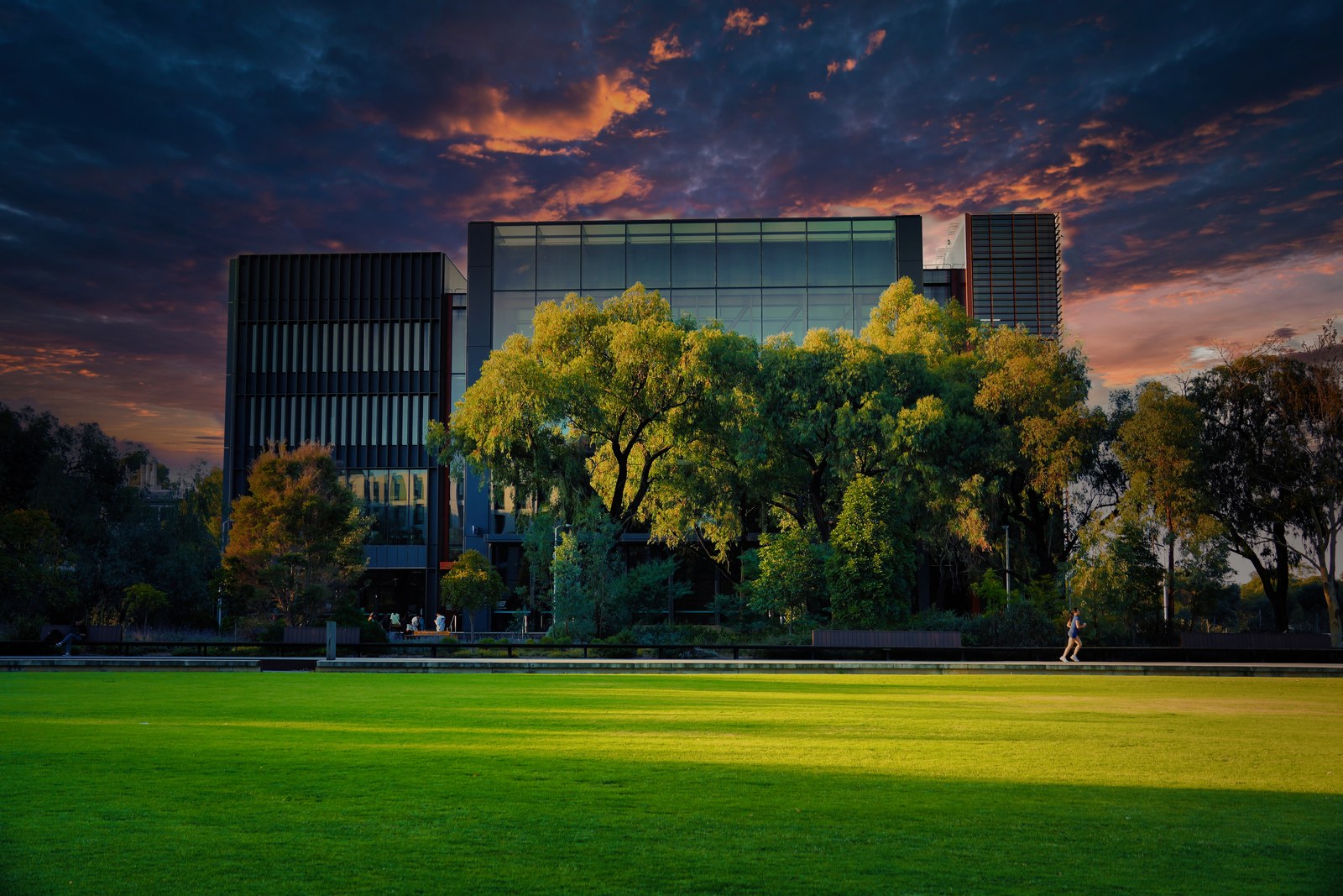 A glass-fronted building and green trees stand beyond a bright lawn under a dramatic evening sky.