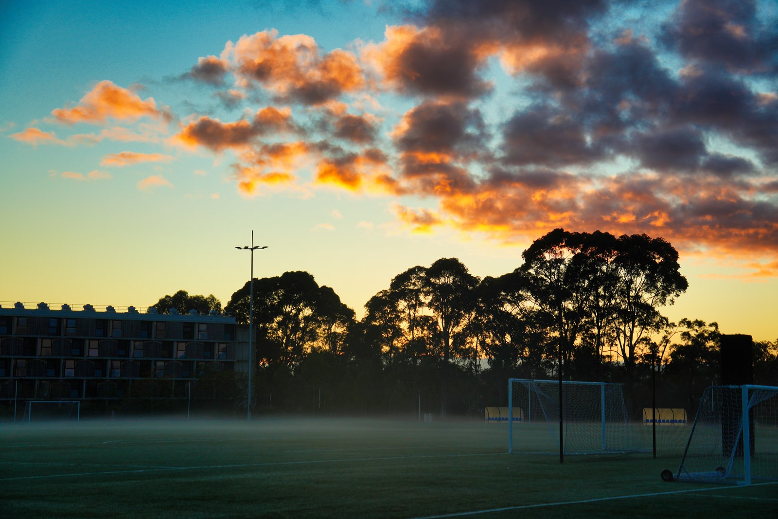 Orange-lit clouds hang above silhouetted trees, a building and a sports field.