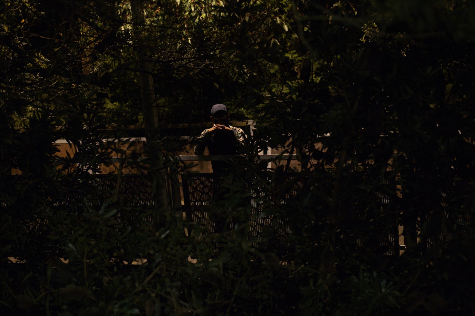 A person stands on a bridge behind dark green foliage.