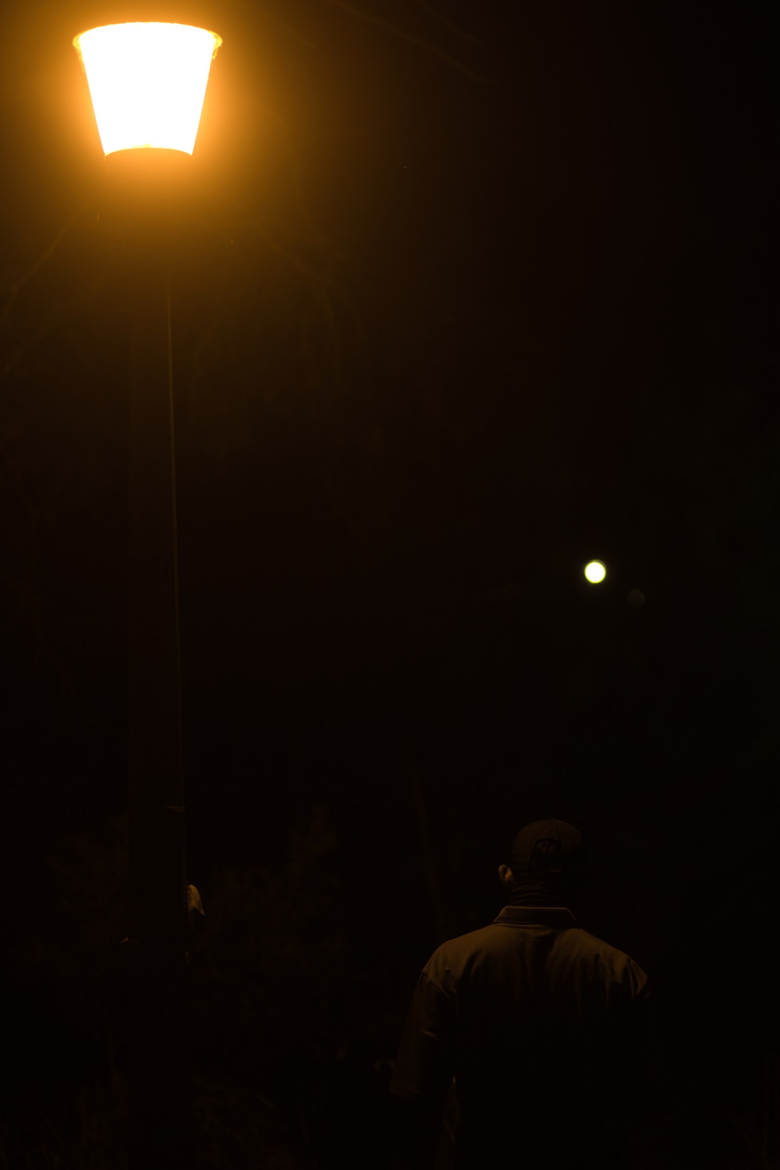 A dimly lit person stands with their back to the camera beneath a bright streetlamp.