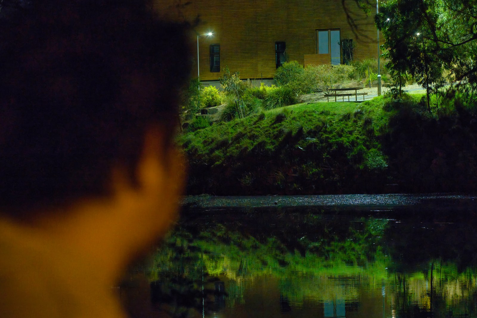 A softly blurred person in the foreground looks across a pond toward a sharply focused lit building and greenery.