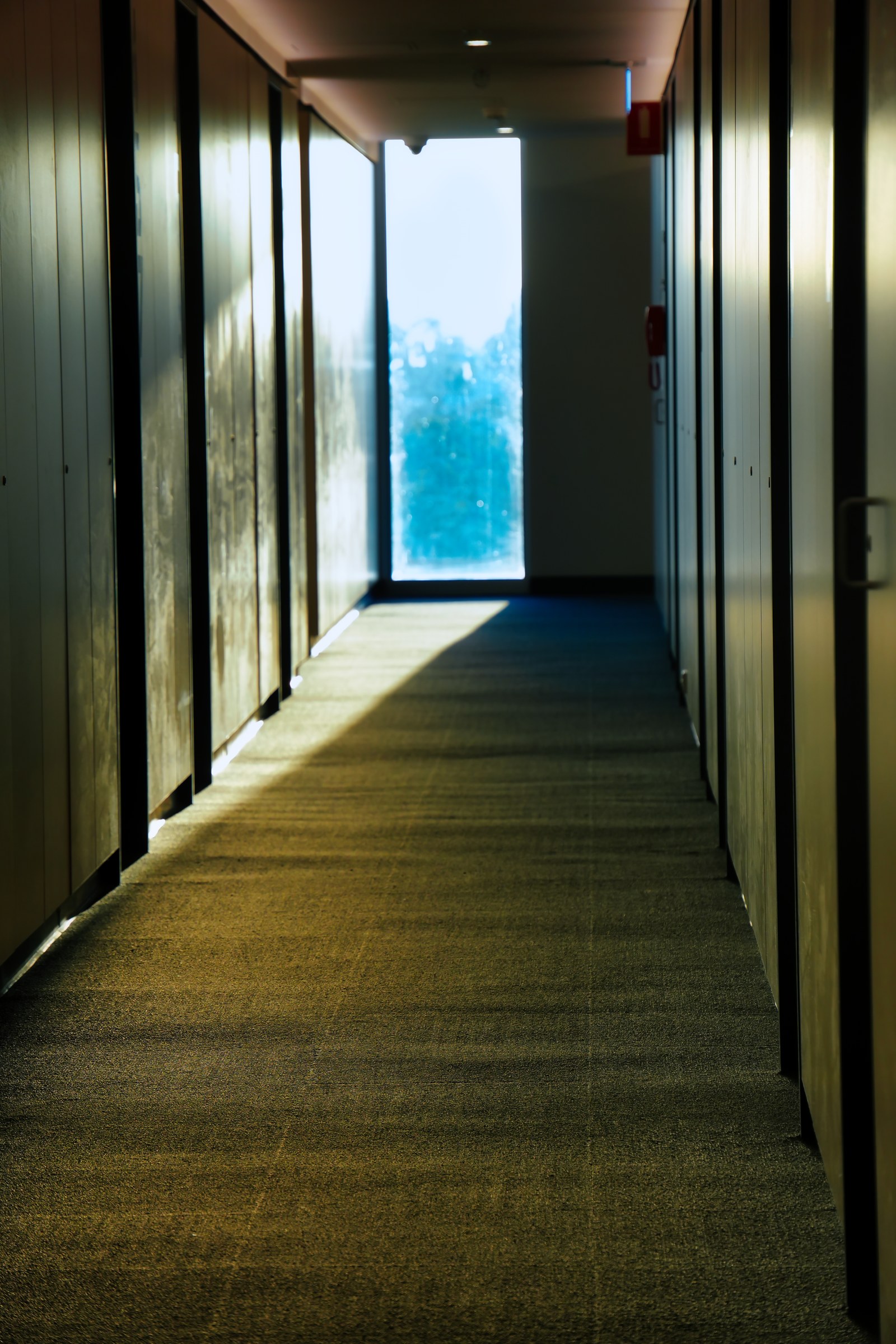 Sunlight falls across a long corridor toward a tall window at the far end.